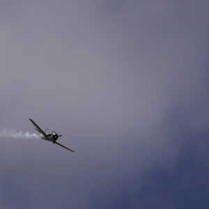 T28 - Au loin