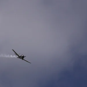 T28 - Au loin